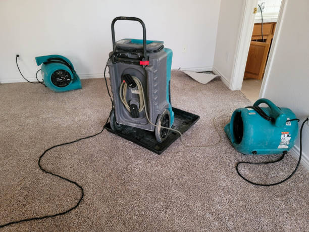 Sewage cleanup and water damage restoration in TX