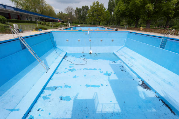 Best Water damage mitigation services  in Holliday, TX