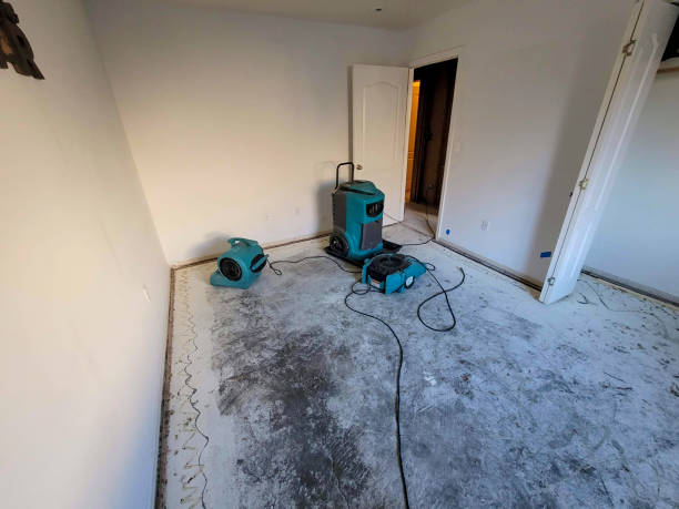 Best Fire Damage Restoration  in Holliday, TX