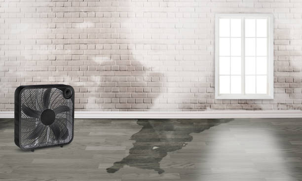  Holliday, TX Water damage restoration Pros