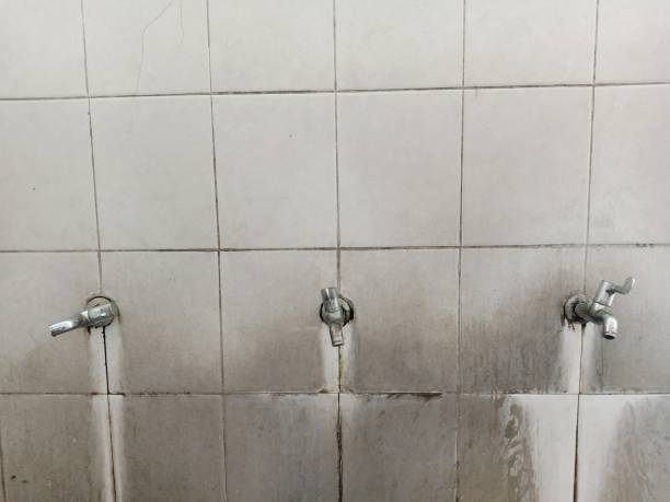 Best Water damage restoration services  in Holliday, TX