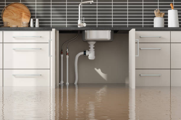 Best Flood restoration services  in Holliday, TX