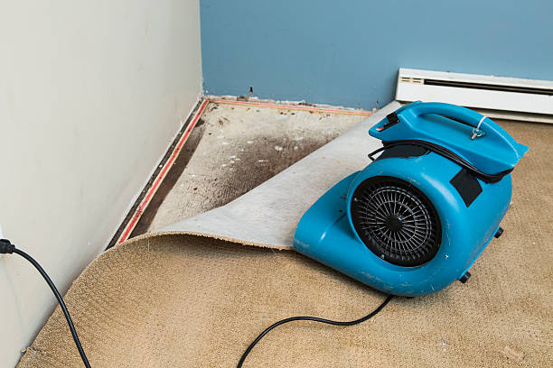 Best Water damage restoration near me  in Holliday, TX
